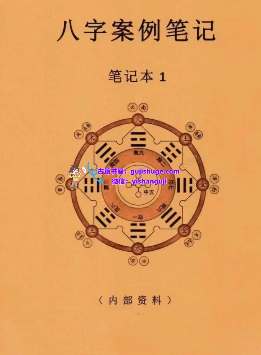 八字案例笔记一套两本PDF电子书2本
